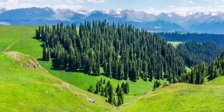 航拍新疆的绿色草原和山脉