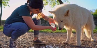 一名妇女给她口渴的瑞士牧羊犬喝水