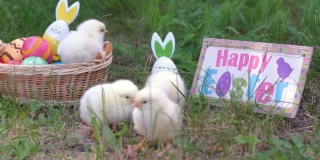 附近的小鸡写着“复活节快乐”