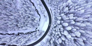 鸟瞰冬季道路和白雪覆盖的松树