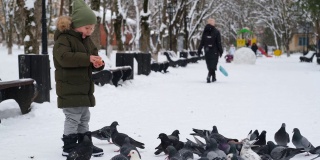 喂鸽子的小男孩。一个孩子在冬季公园里向雪地上的小鸟扔面包。