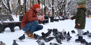 小男孩和爸爸在喂鸽子。一个孩子和他的父亲在冬季公园的雪地里玩鸟。