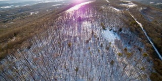 冬天，宾夕法尼亚州阿巴拉契亚山脉的木坡被雪覆盖。