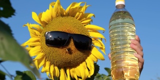 向日葵戴着帽子和太阳镜，一瓶油在蓝天的背景上。