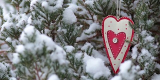 情人节工艺品心挂在杜松灌木的树枝下风雪交加