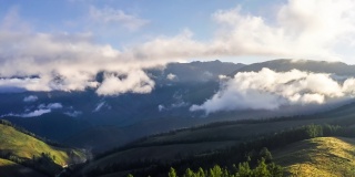 雾天山上绿色森林的航拍画面