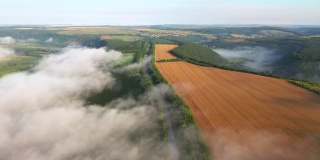 俯瞰雾蒙蒙的早晨的乡村景色和农田。