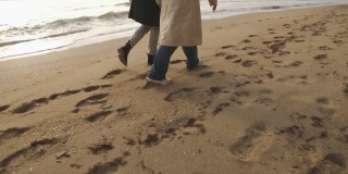在多云的日出或日落时，幸福的情侣漫步在野生的海滩上