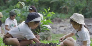 团体志愿者植树造林作为拯救世界的理念。