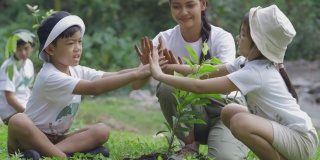 团体志愿者植树造林作为拯救世界的理念。