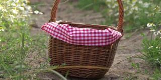 夏日乡间的野餐篮