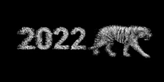 金色老虎2022