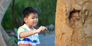 亚洲孩子用望远镜和放大镜在公园和森林里学习户外运动