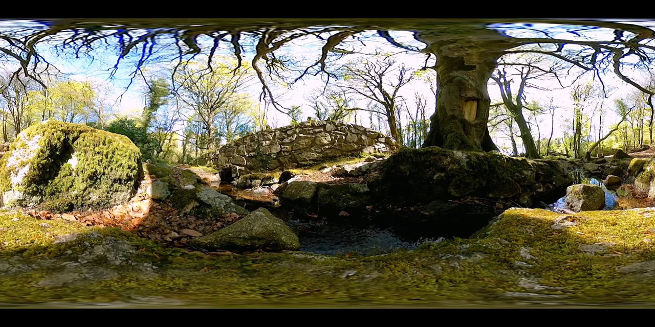 360度虚拟现实体验，在森林深处的小溪和人造石桥旁享受一分钟的宁静