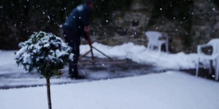 冬青灌木在冬天的植物，背景是清理积雪的人