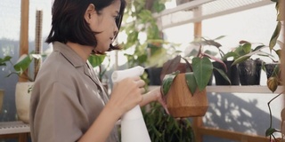 快乐的年轻女子园艺，浇水在苗圃在家里的植物。