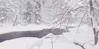 野外冰封的小河在冬天的树林里风雪交加，野外的大自然，冰封、冰雪覆盖的树木，宁静祥和