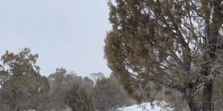 猛烈的暴风雪暴风雪在狂风科罗拉多冬季降雪在山脉沙漠和河流极端天气条件视频系列