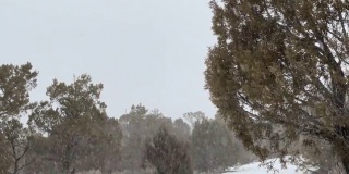 横风暴风雪暴风雪期间强风科罗拉多冬季降雪山区沙漠和河流极端天气条件系列视频
