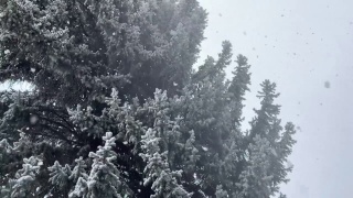 暴风雪暴风雪在强风科罗拉多冬季降雪在山脉沙漠和河流极端天气条件视频系列视频素材模板下载