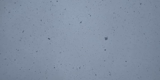 直接在头顶上的大雪花，大雪，科罗拉多冬季降雪在山区沙漠和河流极端天气条件视频系列