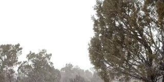 慢动作硬风暴风雪暴风雪在强风科罗拉多冬季降雪在山脉沙漠和河流极端天气条件视频系列