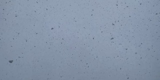 直接在头顶上的大雪花，大雪，科罗拉多冬季降雪在山区沙漠和河流极端天气条件视频系列