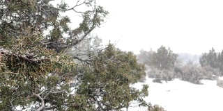 暴风雪暴风雪在强风科罗拉多冬季降雪在山脉沙漠和河流极端天气条件视频系列