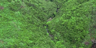 鸟瞰峡谷——毛里求斯附近的河谷国家公园