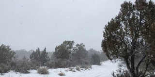 暴风雪暴风雪在强风科罗拉多冬季降雪在山脉沙漠和河流极端天气条件视频系列