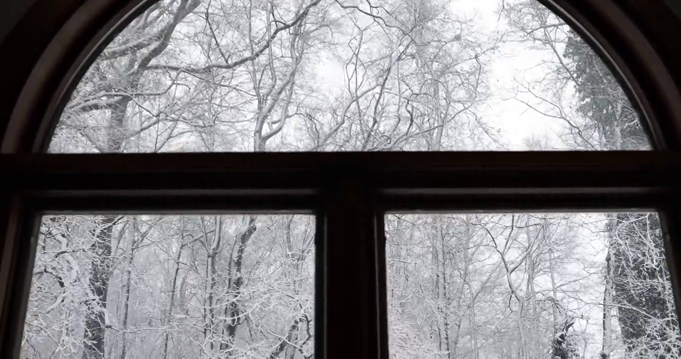 雪树通过圆头窗口