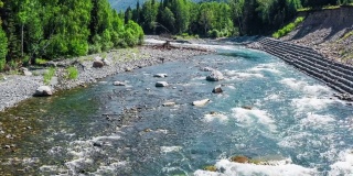 航拍新疆河流和绿色森林景观