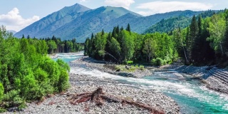 航拍新疆河流、绿色森林和山地景观