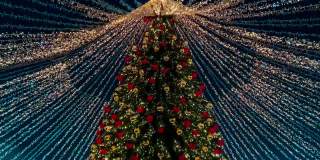圣诞树在街上装饰新年。2021年12月19日，俄罗斯莫斯科