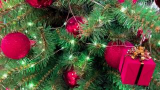圣诞树在街上装饰新年。2021年12月19日，俄罗斯莫斯科视频素材模板下载