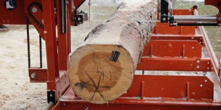 加工原木的过程中，设备是锯木机，把树干锯在木板上。用现代锯木厂锯原木制成的板。