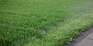 男子用液体化学喷雾器给住宅后院的草坪施肥。庭园用化肥，除草剂和杀虫剂喷洒草坪。