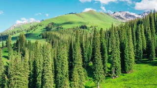 那拉提草原和绿色森林与高山自然景观视频素材模板下载