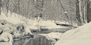 冬天的森林里下雪了，有一条不结冰的小溪，还有一座桥