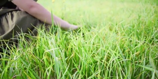 孩子的手触摸着田野上多汁的绿草。给奶牛用的新鲜香草。童年