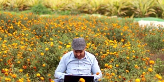 年轻的农民在笔记本电脑上工作，欢呼