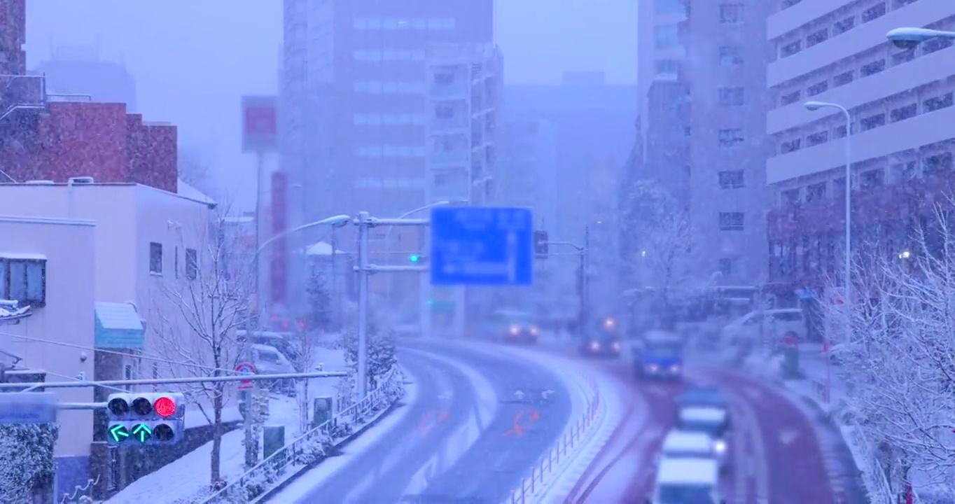 东京市内大雪纷飞