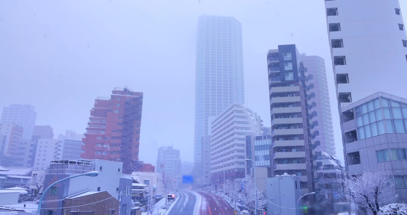 东京市内大雪纷飞