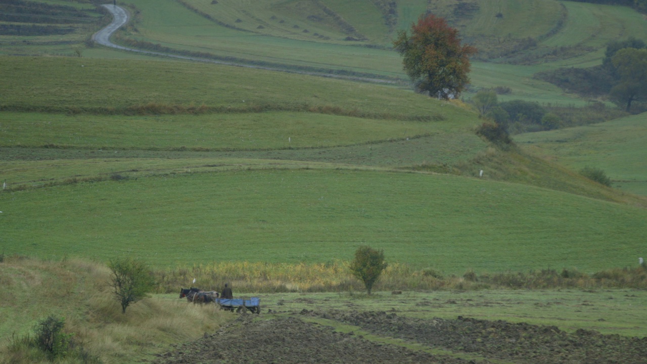 一辆马车在罗马尼亚的乡间缓缓前行