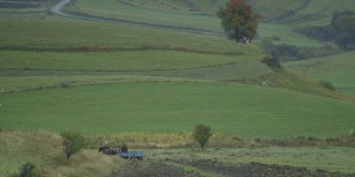 一辆马车在罗马尼亚的乡间缓缓前行
