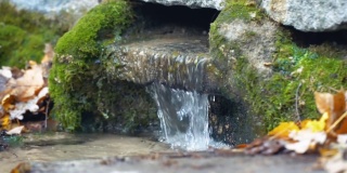 清凉的泉水从长满绿色苔藓的地下矿泉中流出