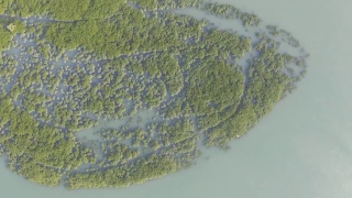 海上红树林的航拍照片视频素材模板下载
