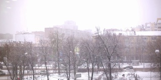 一场暴风雪在城市里，从窗口的高度看到树木，人，汽车行驶在道路上。2022年1月6日，俄罗斯卡卢加