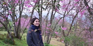 美丽的亚洲妇女步行与野生喜马拉雅樱花盛开在春天的花园