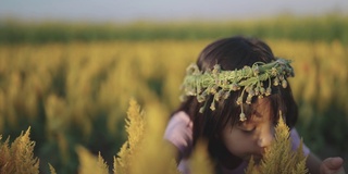 小女孩在夕阳下的蒲公英丛中伸开双臂奔跑